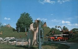 Prehistoric Forest Postcard