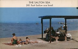 The Salton Sea 241 Feet Below Sea Level Indio, CA Postcard Postcard Postcard