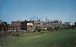 The Kellogg Company Postcard