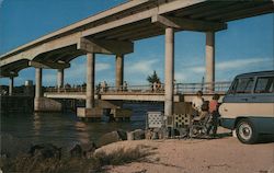 Picnic Site at Sebastian Inlet Postcard