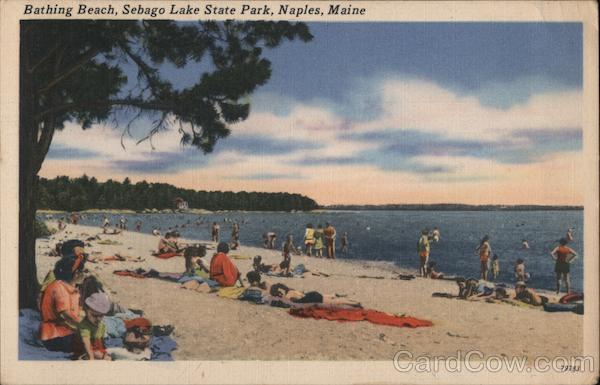 Bathing Beach, Sebago Lake State Park Naples, ME Postcard