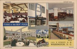 O'Donnell's Sea Grill Washington, DC Washington DC Postcard Postcard Postcard