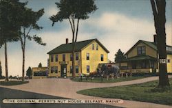 Perry's Tropical Nut House Belfast, ME Postcard Postcard Postcard