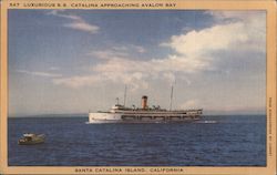 Luxurious S. S. Catalina Approaching Avalon Bay Postcard