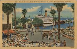 Crowds Greeting Daily Arrival of Steamer of Avalon Santa Catalina Island, CA Postcard Postcard Postcard