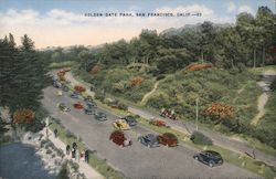 Golden Gate Park Postcard
