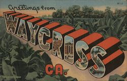 Greetings from Waycross, Ga. Postcard