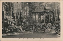 The Well Known Wishing Well Postcard