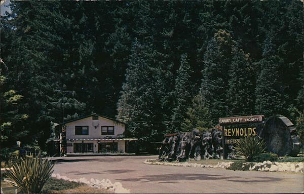 Reynolds Redwoods Garberville California