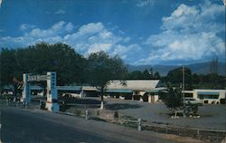 Beach Motel Postcard