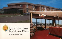 Quality Inn Buckhorn Plaza Postcard