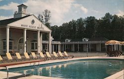 White House Motel Postcard