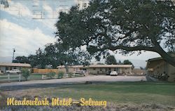 Meadowlark Motel Postcard