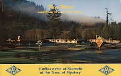Trees Motel and Blue Ox Coffee Shop Trees of Mystery Postcard