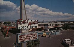 Trade Winds Motor Hotel Postcard