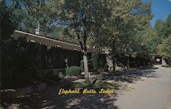 Elephant Butte Lodge Postcard