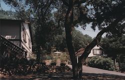 Erika's Hillside Bed and Breakfast Postcard