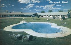 Shamrock Motel Postcard