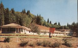 Oaklo Motels Postcard