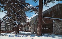 Garni Motor Lodge Lake Tahoe, CA Virgil Coenen Postcard Postcard Postcard
