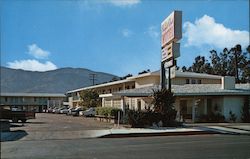 Royal Oak Motel Postcard