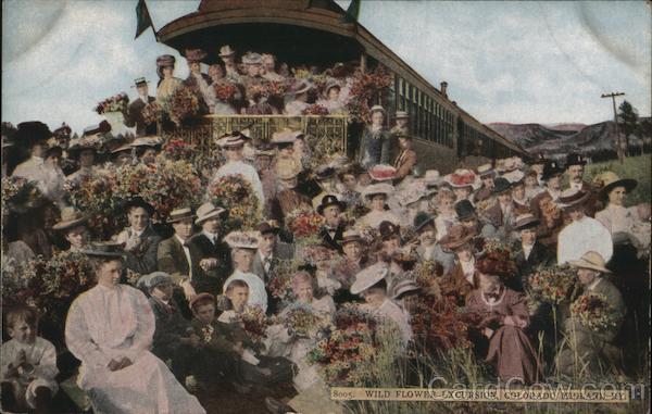 Wild Flowers Excursion, Midland Railroad Colorado