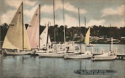 At the Yacht Club Dock Postcard