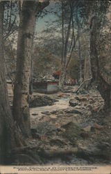 Picnic Grounds at Congress Springs Postcard