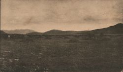 View shows an irrigated alfalfa ranch. Water being pumped. El Cajon Valley Postcard