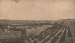 view from South showing El Cajon Village Postcard