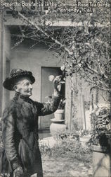 Senorita Bonifacio in the Sherman Rose Tea Garden Postcard