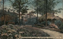 Grounds of Hotel Raymond Postcard
