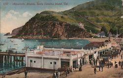 Aquarium, Avalon, Santa Catalina Island Postcard