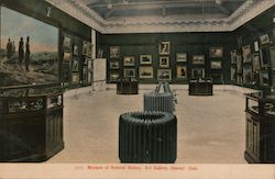 Museum of Natural History, Art Gallery Postcard