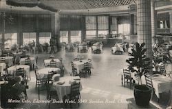 Marine Cafe, Edgewater Beach Hotel Postcard
