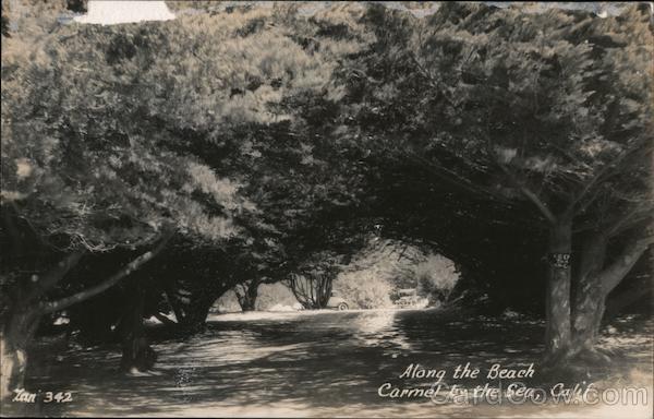 Along the Beach Carmel California