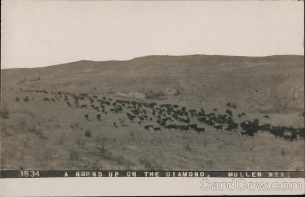 A Round up on the Diamond Mullen Nebraska