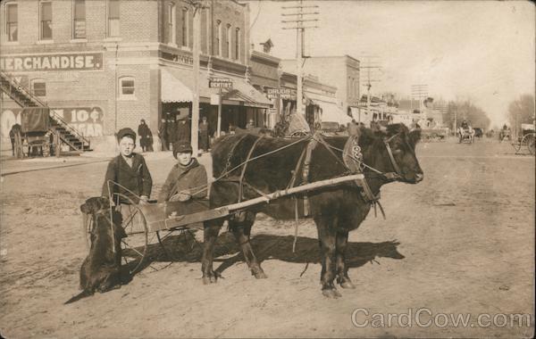 Boys Pose in a Cart Pulled by a Cow North Bend Nebraska