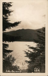 Lake Quinault Olympic National Park, WA Ellis Postcard Postcard Postcard