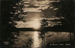 Lake Quinault Olympic National Park, WA Jones Postcard Postcard Postcard