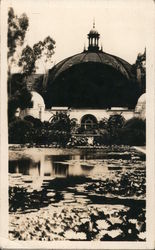 Fountain At Balboa Park, San Diego Postcard