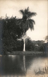 Stock #779564 Thumbnail