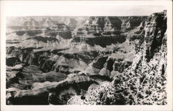 Grand Canyon View Postcard