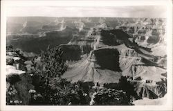View of the Grand Canyon Postcard