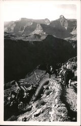 Mule Ride into the Canyon Postcard