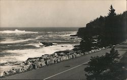 Otter Cliffs from Ocean Drive Postcard