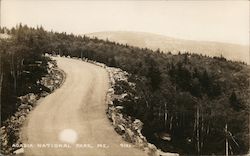 Acadia National Park Postcard