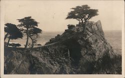 The Lone Cypress Pebble Beach, CA Postcard Postcard Postcard
