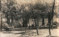 At Bell Glen Camp, Redwood trees Postcard