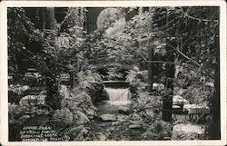 Dining Room-The World Famous Brookdale Lodge Postcard